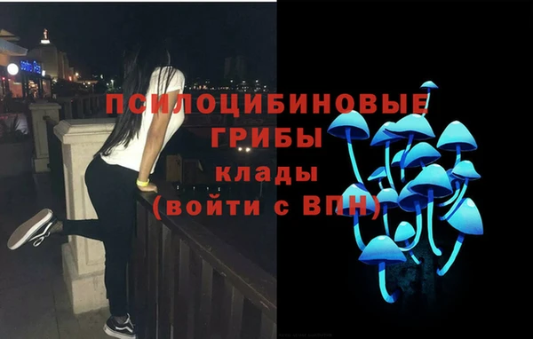 apvp Гусиноозёрск
