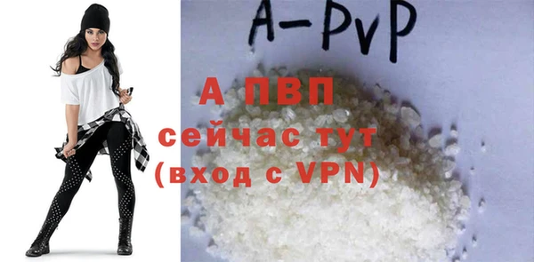 apvp Гусиноозёрск