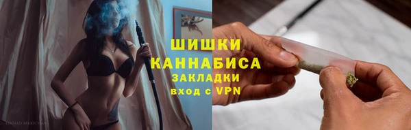 PSILOCYBIN Гусь-Хрустальный