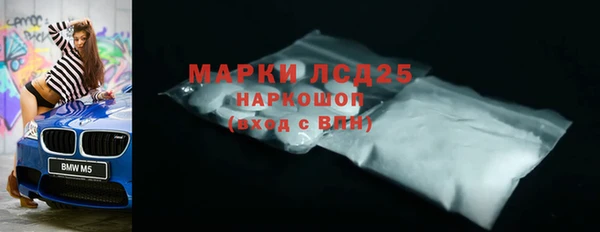 прущие грибы Горнозаводск