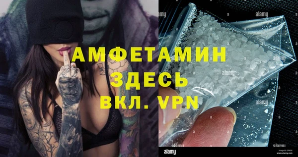 apvp Гусев
