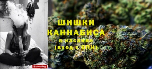 apvp Гусев