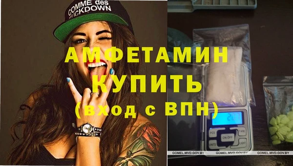 apvp Гусев