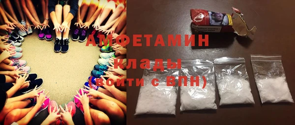 apvp Гусев