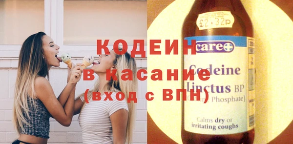 прущие грибы Горнозаводск