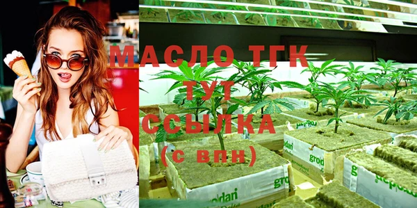 apvp Гусиноозёрск