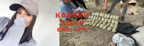 mdpv Горняк