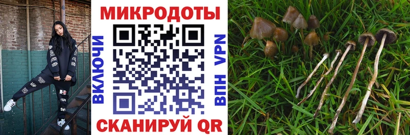 Галлюциногенные грибы мицелий  где можно купить   Москва 